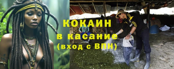 PSILOCYBIN Лихославль