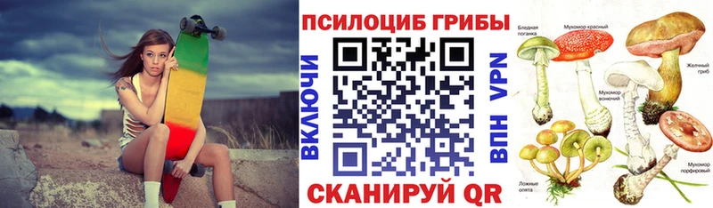 Псилоцибиновые грибы MAGIC MUSHROOMS купить Первоуральск